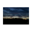 Ohne Titel